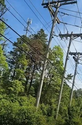 Overhead distribution and communications lines along the site frontage